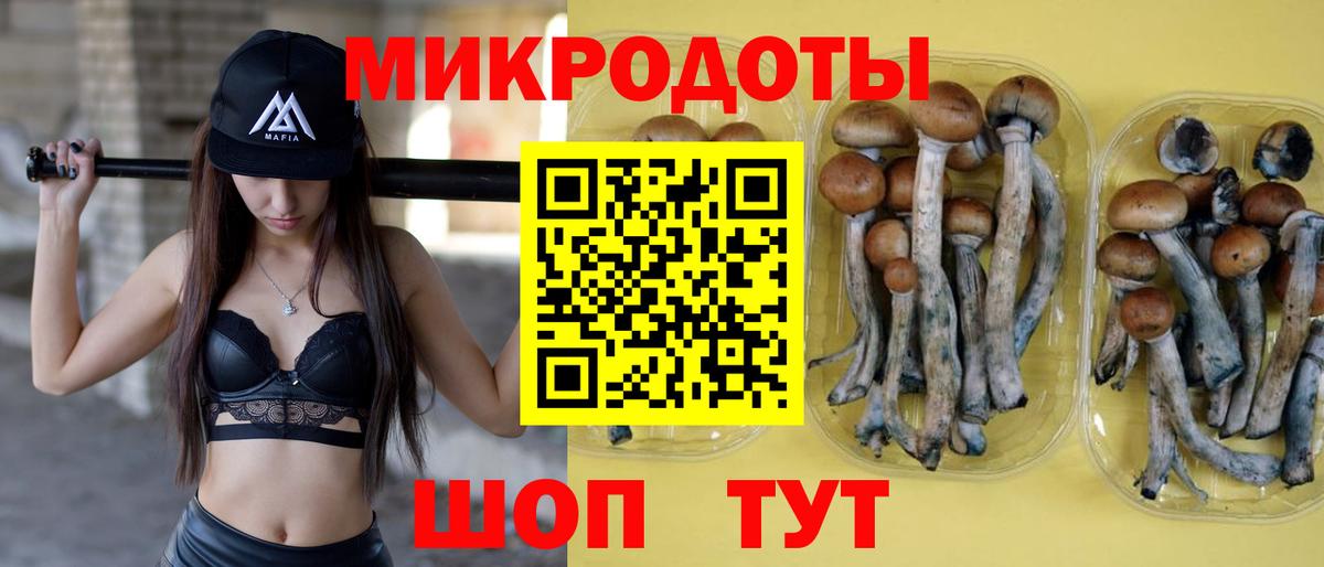 Галлюциногенные грибы Psilocybine cubensis Борзя